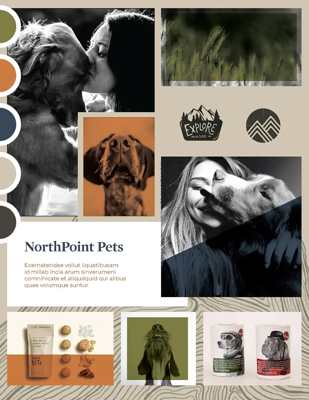 NorthPoint Pets Mood Board Layout with images and color swatches