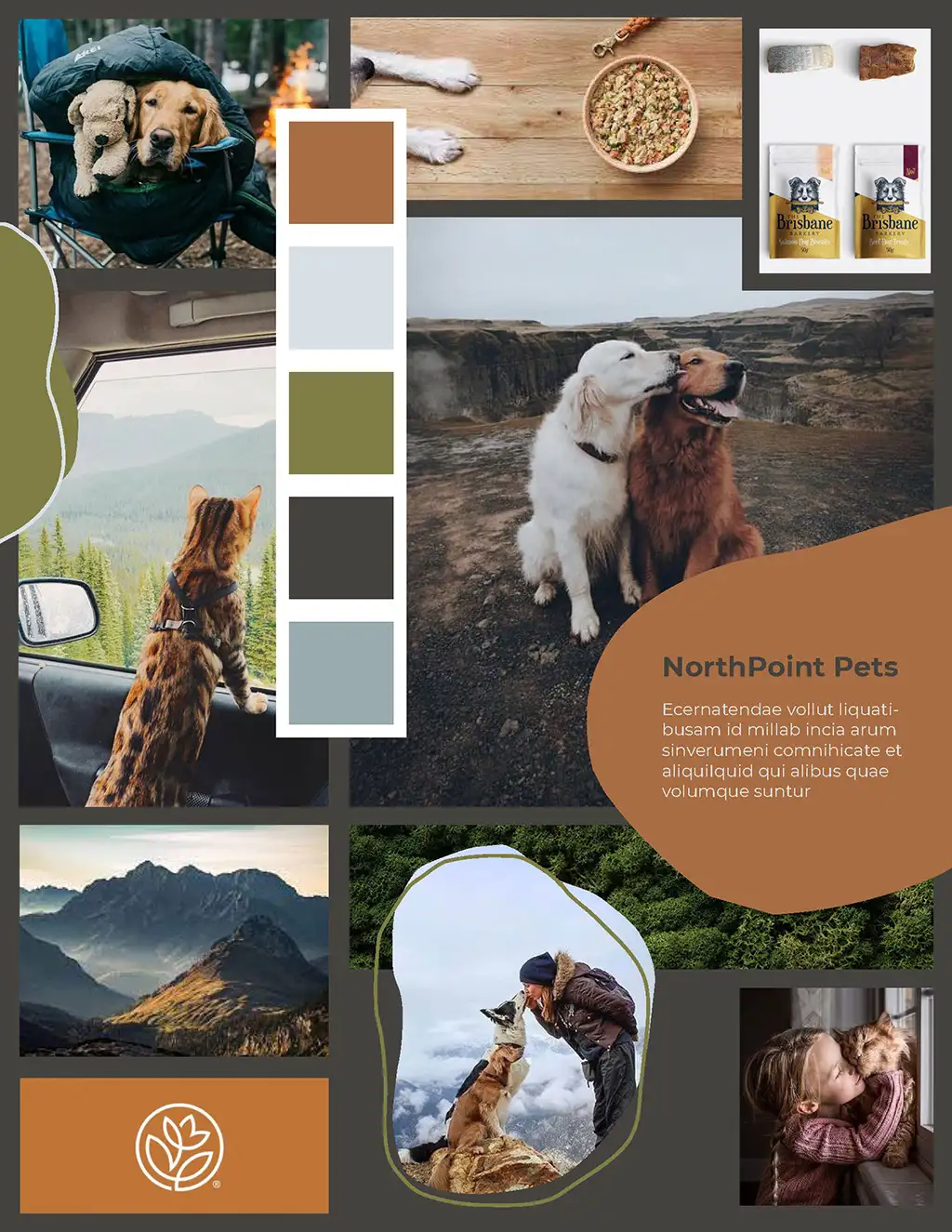 NorthPoint Pets Mood Board Layout with images and color swatches